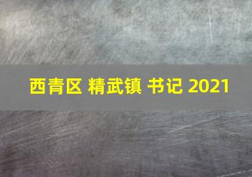 西青区 精武镇 书记 2021